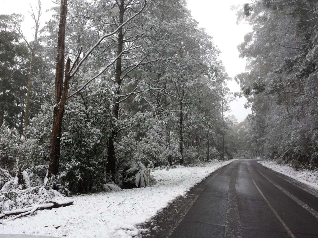 Mt Donna Buang Snow Ride - August 2014 20140811