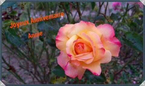 Joyeux Anniversaire Annie Joyeux Anniversaire Annie