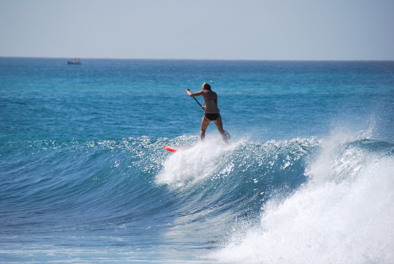 Surf au Cap Vert Dsc_8712