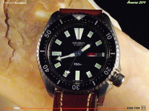 Seiko Diver 6309 7209 F1