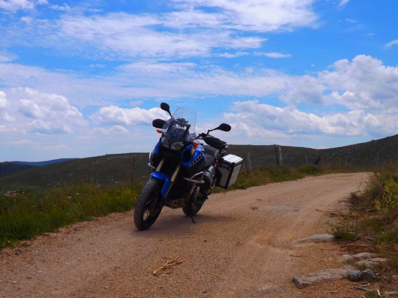 Petite ballade autour de chez moi (Mt Lozère) Photo_33