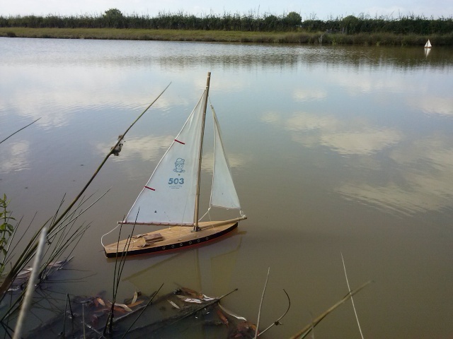 Un àprès midi au bord de l'étang.... Cam00510