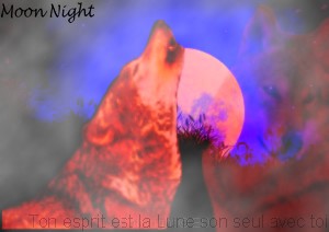 Moon Night le loup fantôme et mystérieux Lune-o11