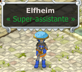 Candidature d'Elfheim Elfhei10