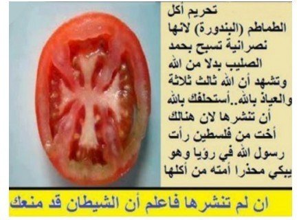 Manger des tomates interdit pour l'islam ?  Tomate10