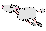 Un mouton suicidaire à Lille... Mouton10