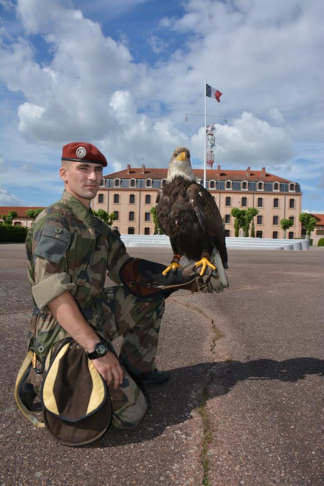 Animaux soldats - Page 3 1022