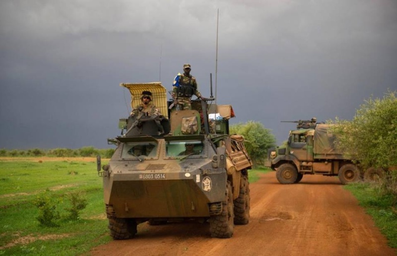 Intervention militaire au Mali - Opération Serval - Page 37 1102