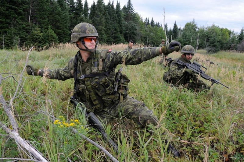 Armée canadienne/Canadian Armed Forces - Page 18 1281