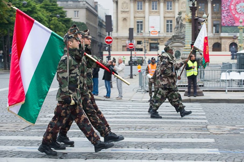 Armée Française / French Armed Forces - Page 22 1739