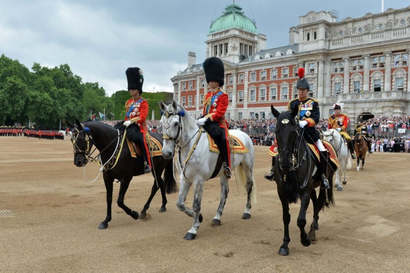 Armée Britannique/British Armed Forces - Page 17 2015