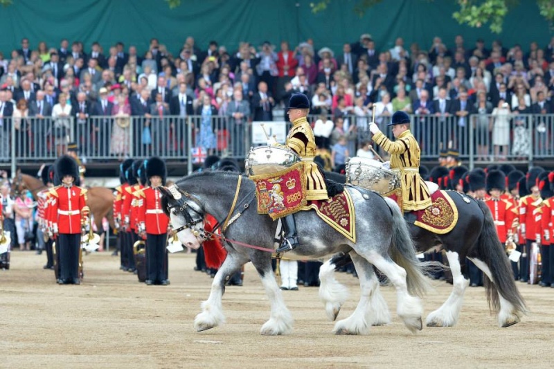 Armée Britannique/British Armed Forces - Page 17 2712