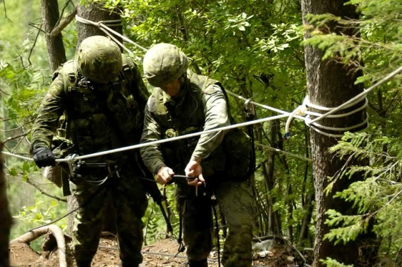 Armée canadienne/Canadian Armed Forces - Page 19 3229