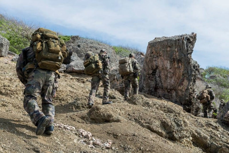 Armée Française / French Armed Forces - Page 28 3374