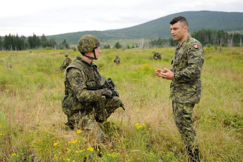 Armée canadienne/Canadian Armed Forces - Page 19 596