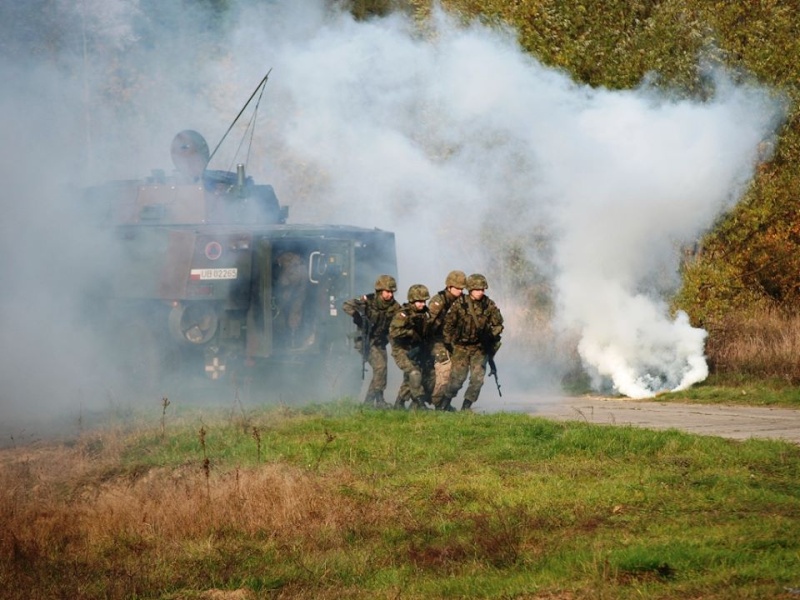 Les Forces Armées Polonaises/Polish Armed Forces - Page 12 9199