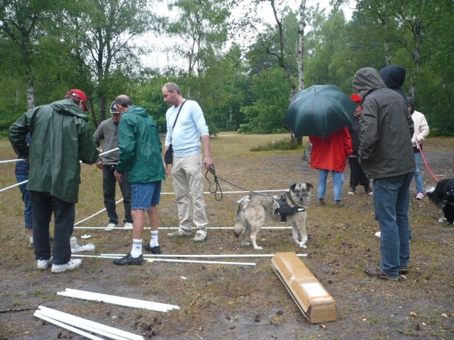 JOURNEE RETROUVAILLES 28 JUIN 2014 A FONTAINEBLEAU - Page 6 P1080516
