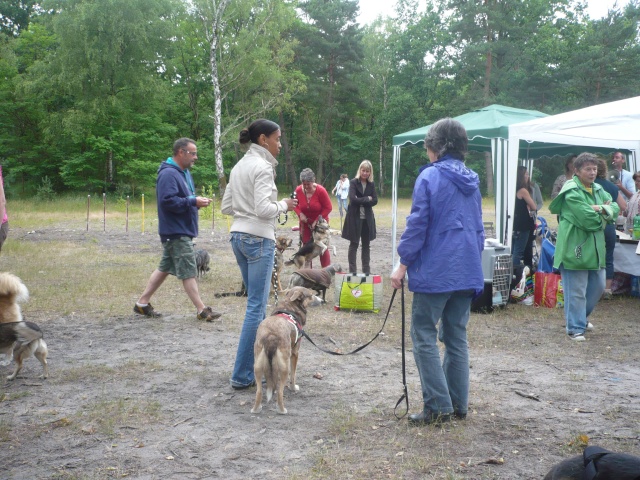 JOURNEE RETROUVAILLES 28 JUIN 2014 A FONTAINEBLEAU - Page 6 P1080529