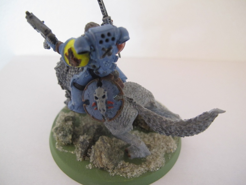 Mes figs : Space Wolves. - Page 7 Img_0815