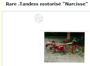 le 100cc NARCISSE  2014-119