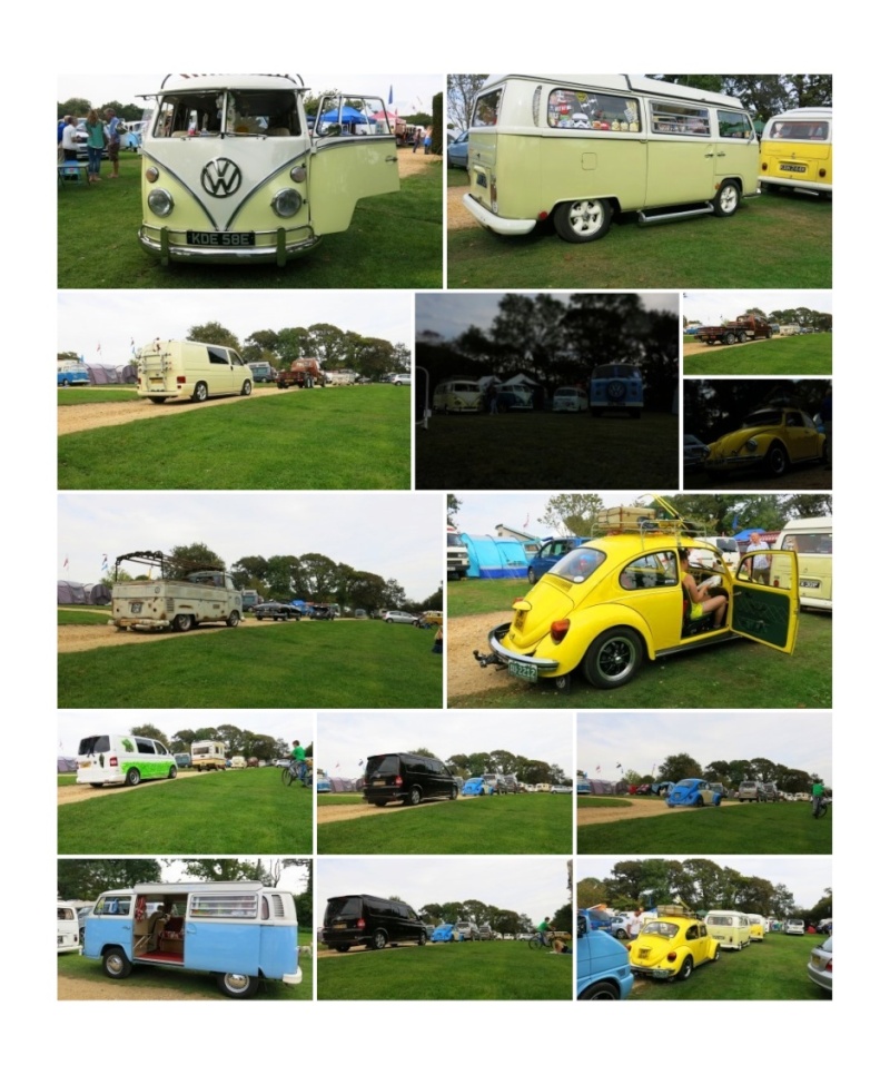 Dubs in the Forest 26th - 28th Sept Hampshire - Page 7 Collag10