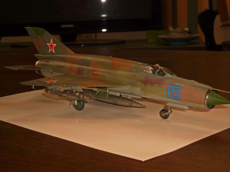 MiG-21 SMT Fishbed-K  [ EDUARD ] (Montage en cours) - Page 5 P1090128