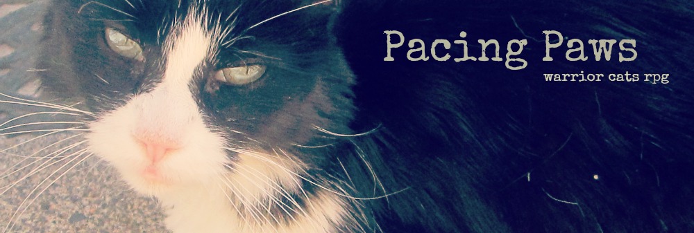 PACING PAWS; warrior cats rpg Banner12