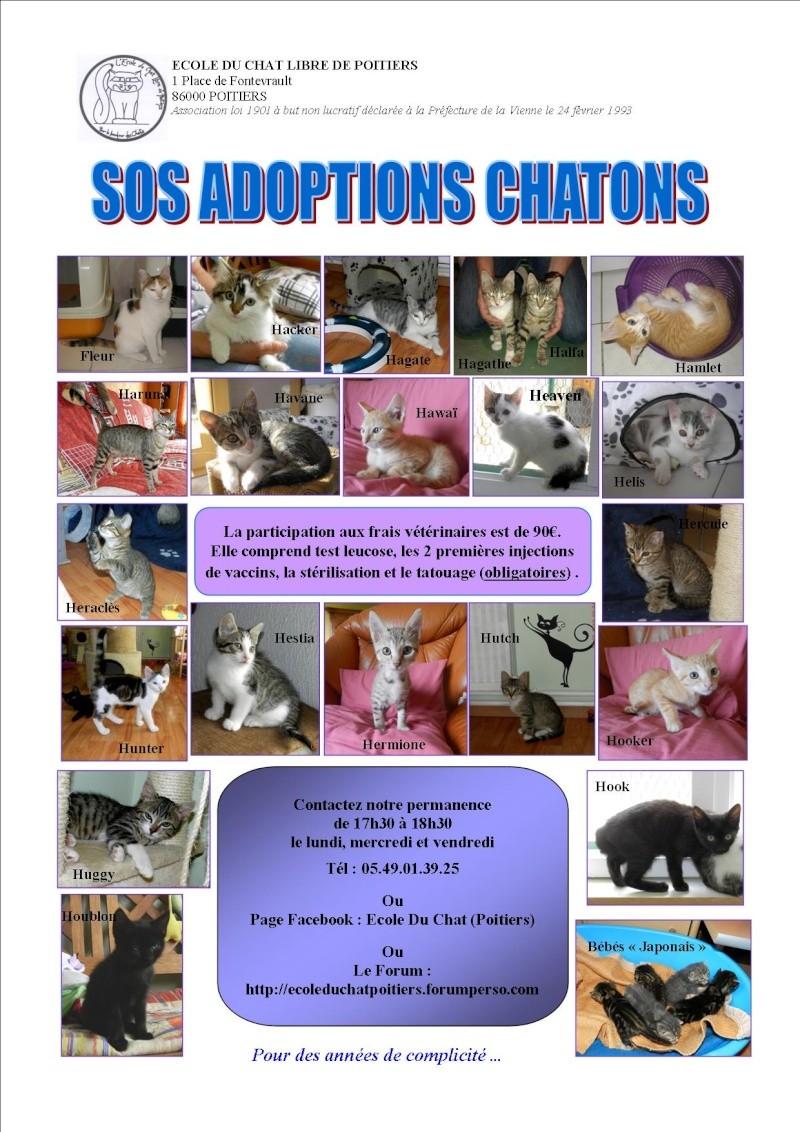 SOS adoptions chez CHRISTAL !! Affich28