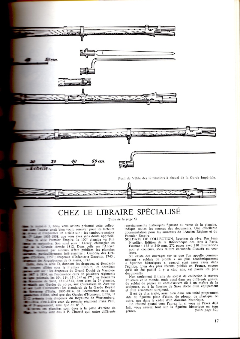 Arme d'épaule des Grenadiers à Cheval de la Garde impériale  P710