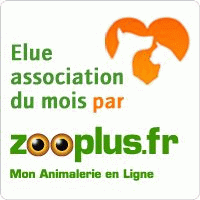 "AGIR POUR LES ANIMAUX" ELUE ASSOCIATION DU MOIS PAR ZOOPLUS 2013_010