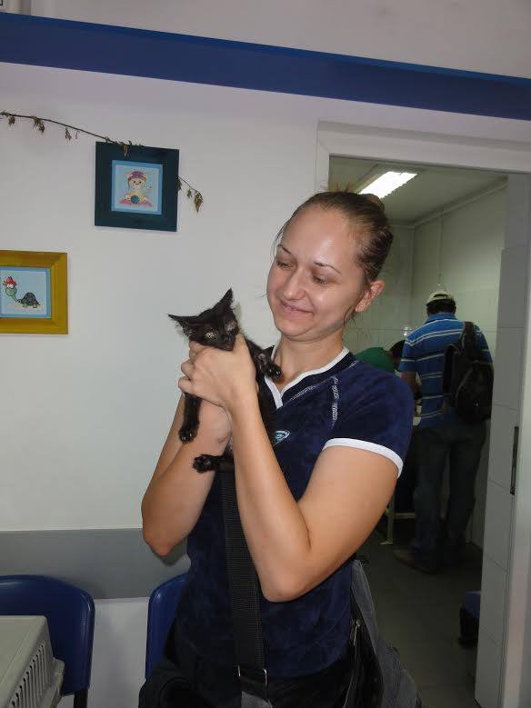 Gina, petite chatte handicapée, née en août 2014 - Adoptée. 10629710