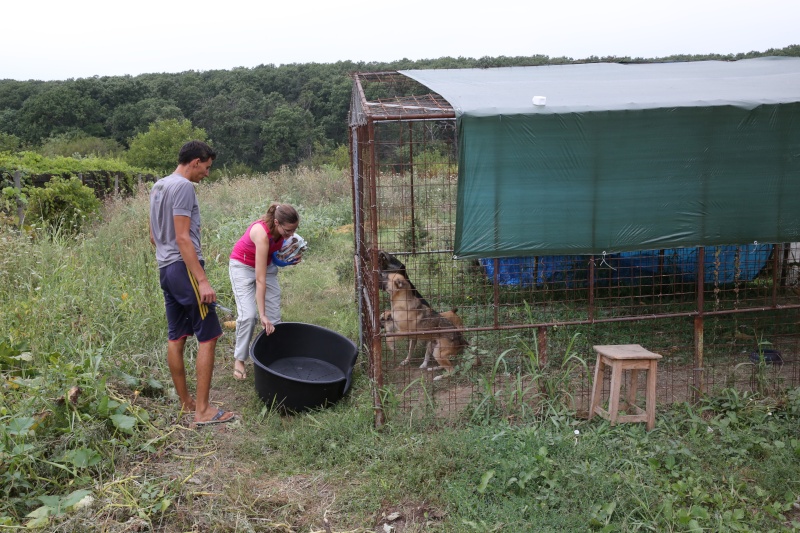 Transfer de Nana et de ses filles a la pension B. Hx9a2221