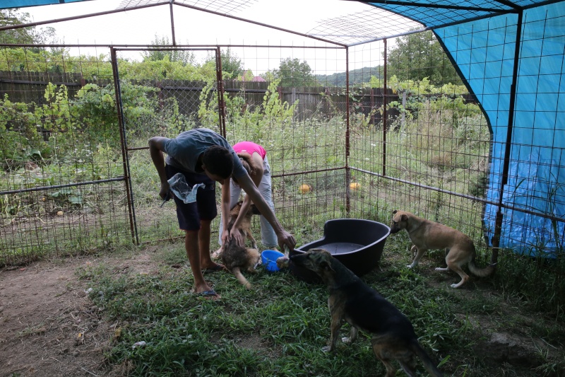 Transfer de Nana et de ses filles a la pension B. Hx9a2223