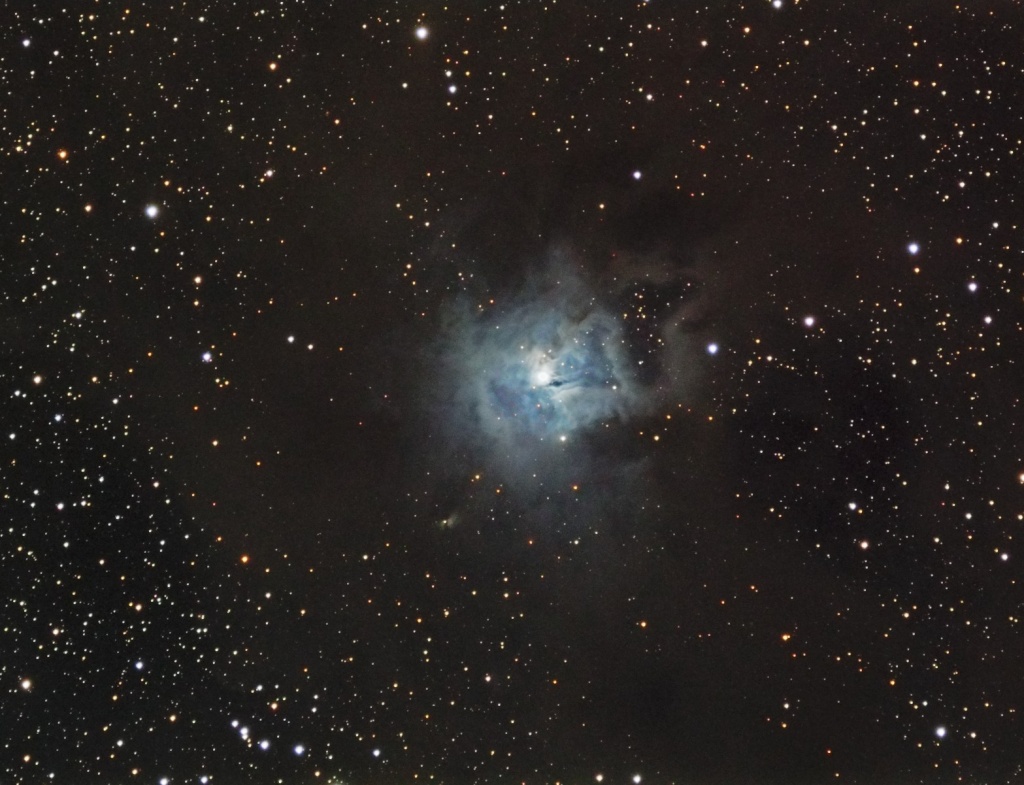 NGC7023, L'Iris encore Lrgb311