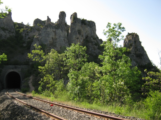 Retour sortie Aveyron Sortie19