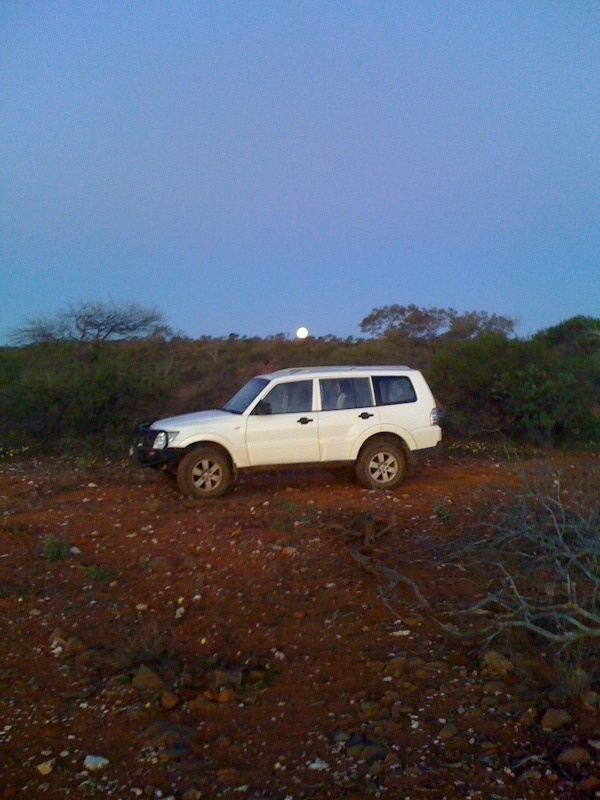 Yalgoo Gold Img_0213