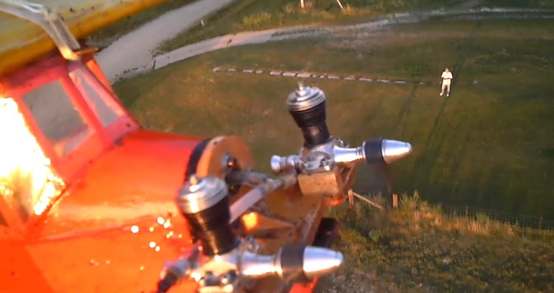 So the Lazy Bee Harassment Continues...Now It's Sporting Twin Space Hoppers! 10_22