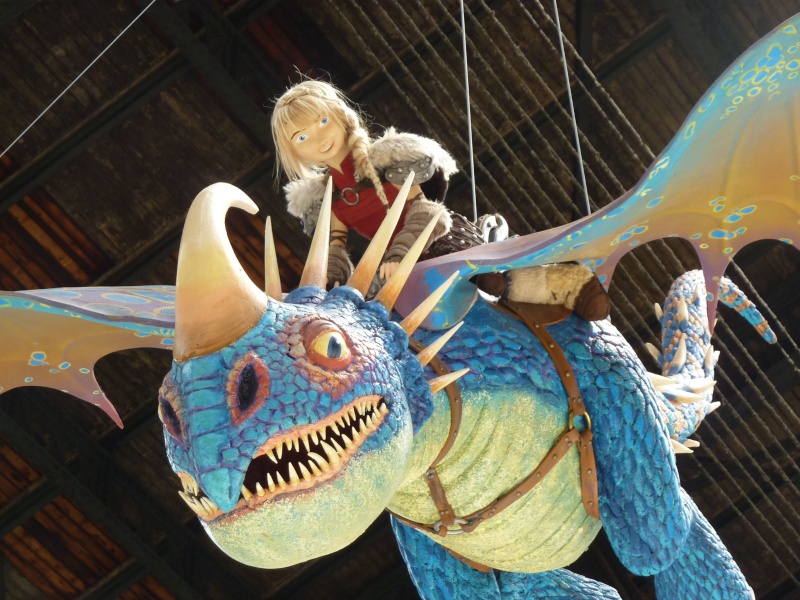 Dragons 2 [sans spoilers] DreamWorks (2014) - Page 16 P1220638
