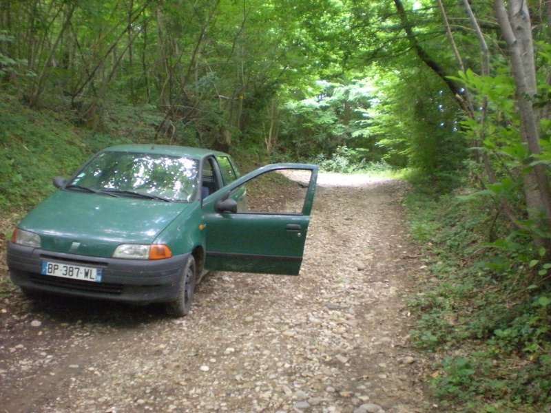 VOITURE VOLEE + tout le matériel pour mes chevaux Dscn7010