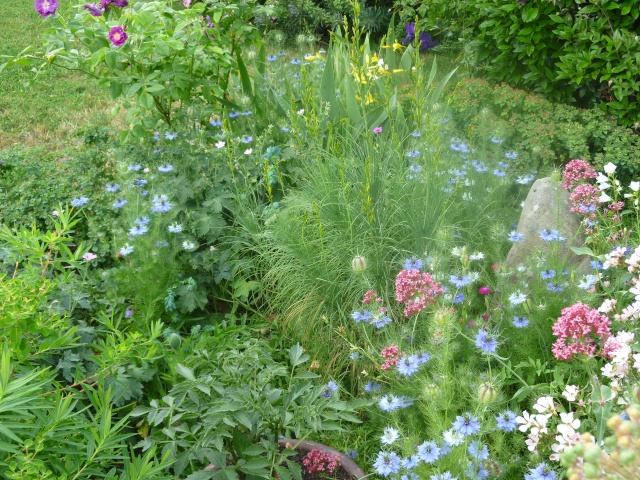 Le jardin, refuge de Marsouine - chapitre III en l'an  - Page 28 54410