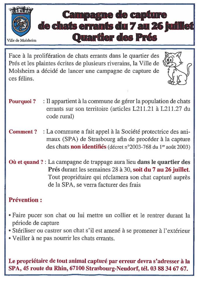 ALERTE/ CAPTURES ET DISPARITIONS DE CHATS  - Page 5 10497010