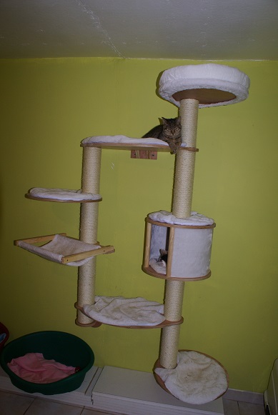 Tests ... Dsc02829