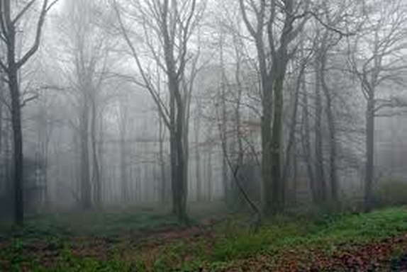 un petit coin d'automne... Images14