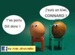 humour en images II - Page 11 Oeuf10