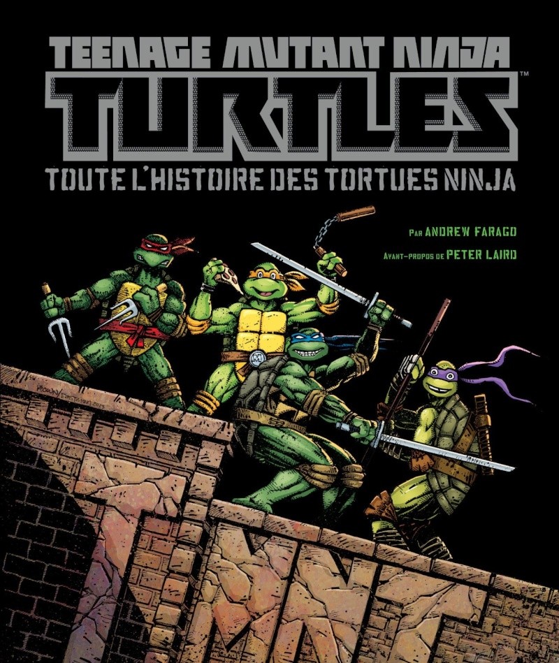 Teenage Mutant Ninja Turtles : The Ultimate Visual History 91i45g10