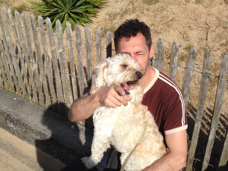 SUNNY - caniche 6 ans Img_2711