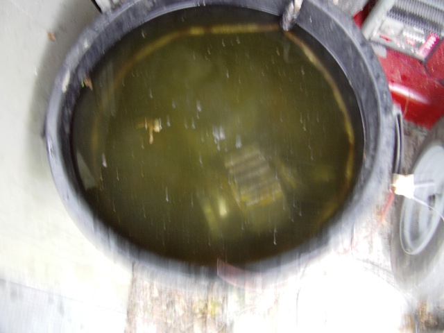  Photos du  près nettoyage du moteur du P 38 Imag0130