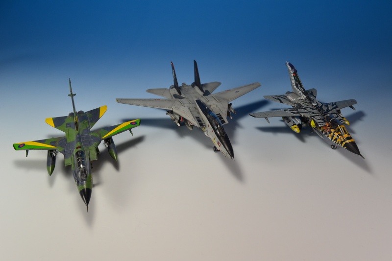 Zwei Tornados und ein zorniges Kätzchen in 1:144 Dsc_0026
