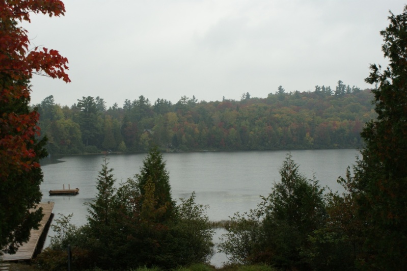 Un automne pluvieux... Rawdon13