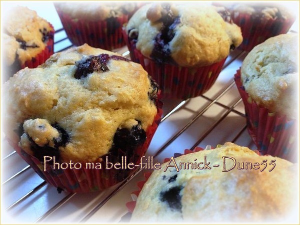 Muffins aux bleuets Qpoihk10